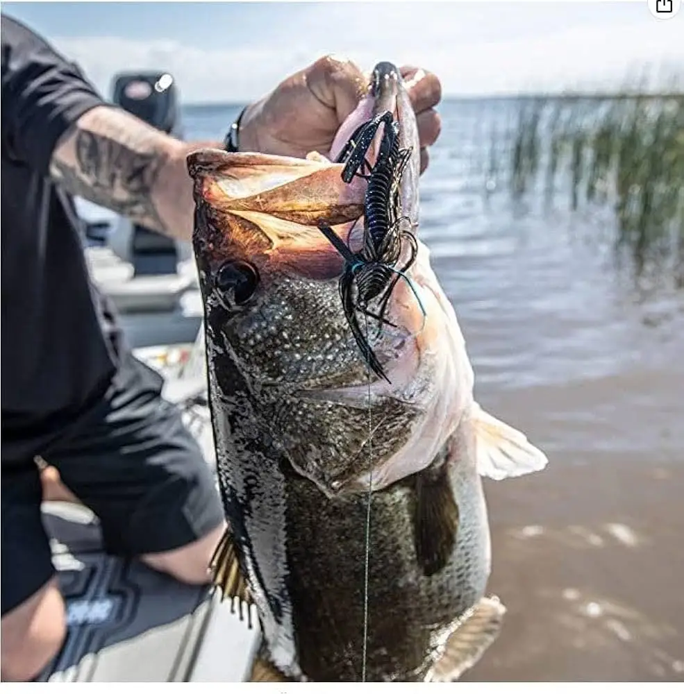 Lake Fork Hot Weather Jig Fishing