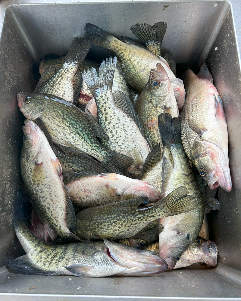 Texas' Best Crappie Fishing with Cap'N Ron