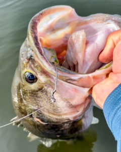 Mastering Largemouth Bass Fishing on Lake Fork with Cap'n Ron