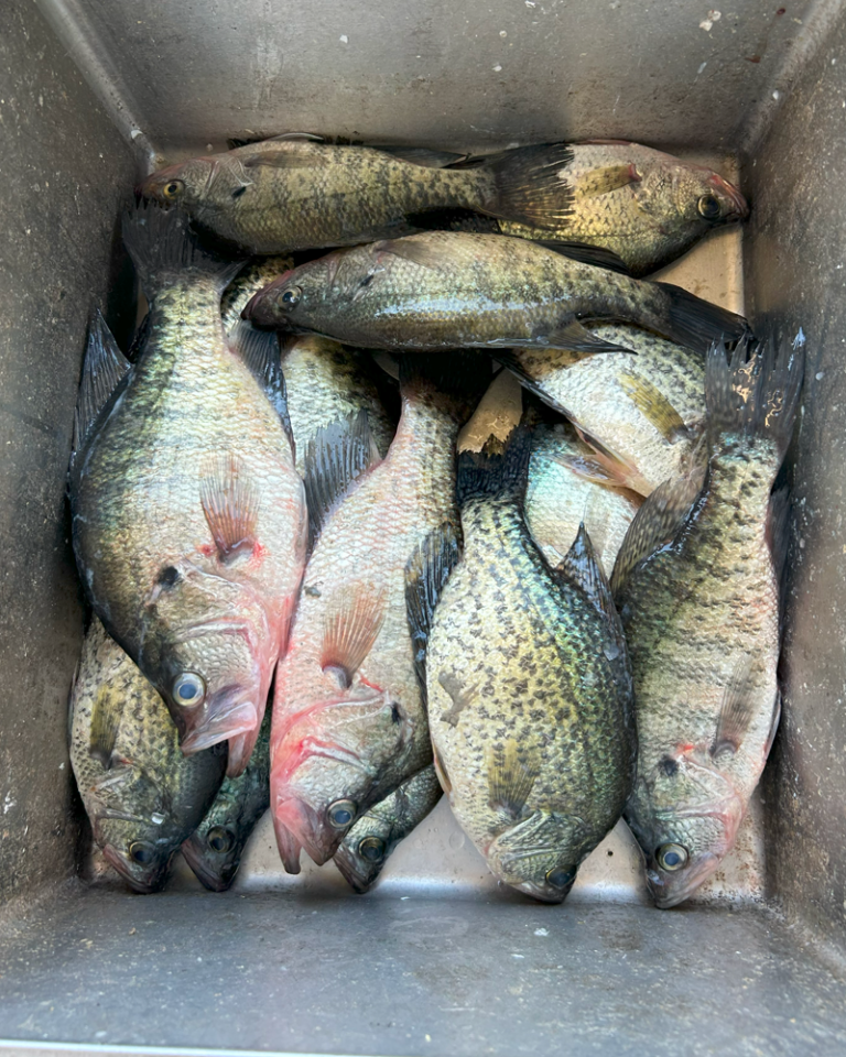 The Best Fishing Spots For Crappie on Lake Fork