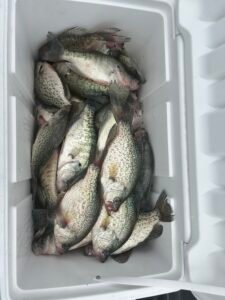 What Fish Are Biting At Lake Fork Let's Take A Look!