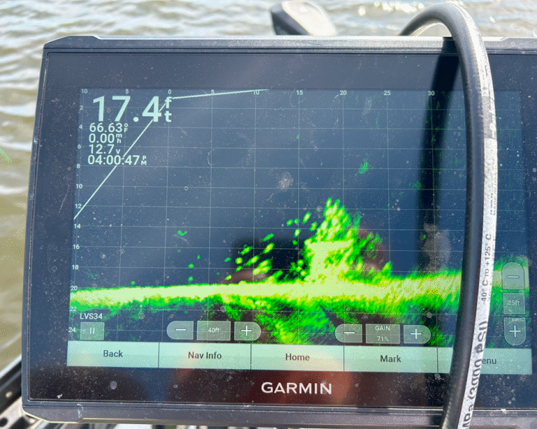 Where do fish hide - Tips from Cap'n Ron for a Successful Fishing Adventure