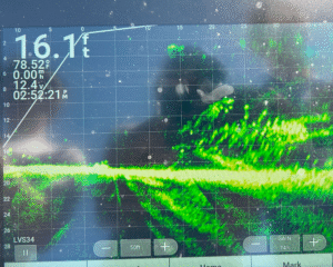 Helping You Master Your Fishing Electronics