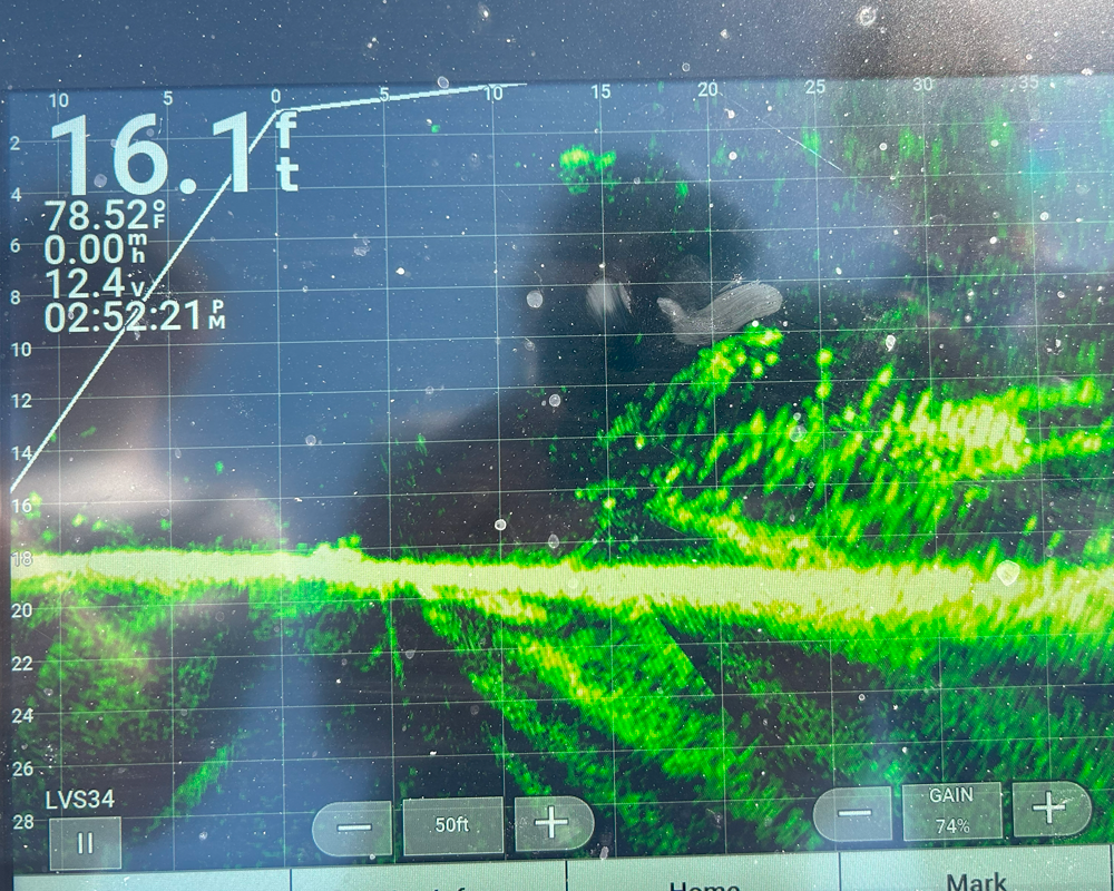 Helping You Master Your Fishing Electronics